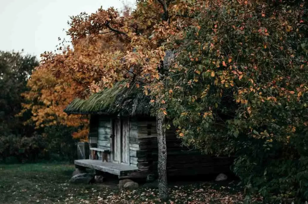 My Secret Love Russian Autumn