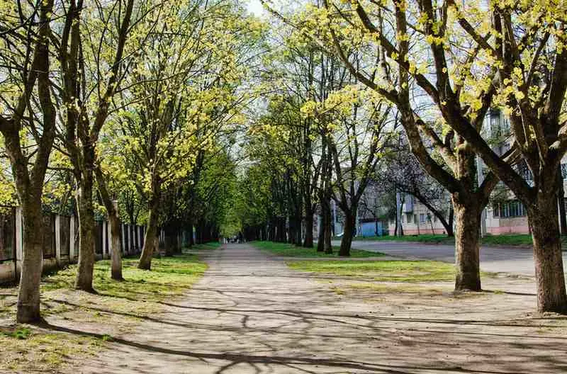 Spring in Moldova A Fresh Start