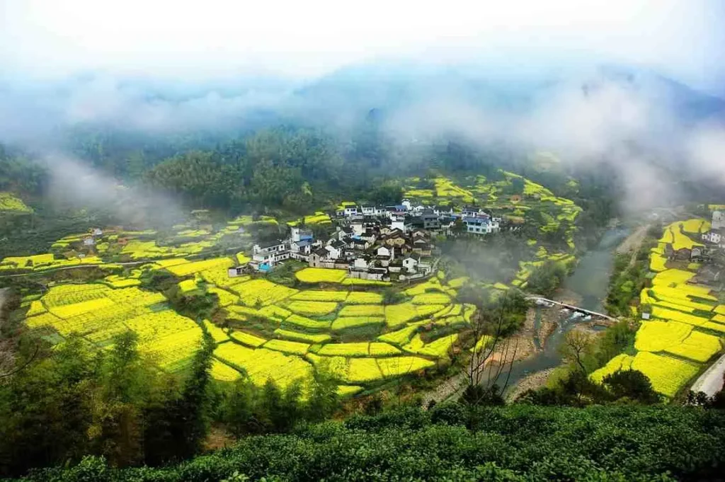 Spring in Mongolia Dust, Wind, and Small Promises