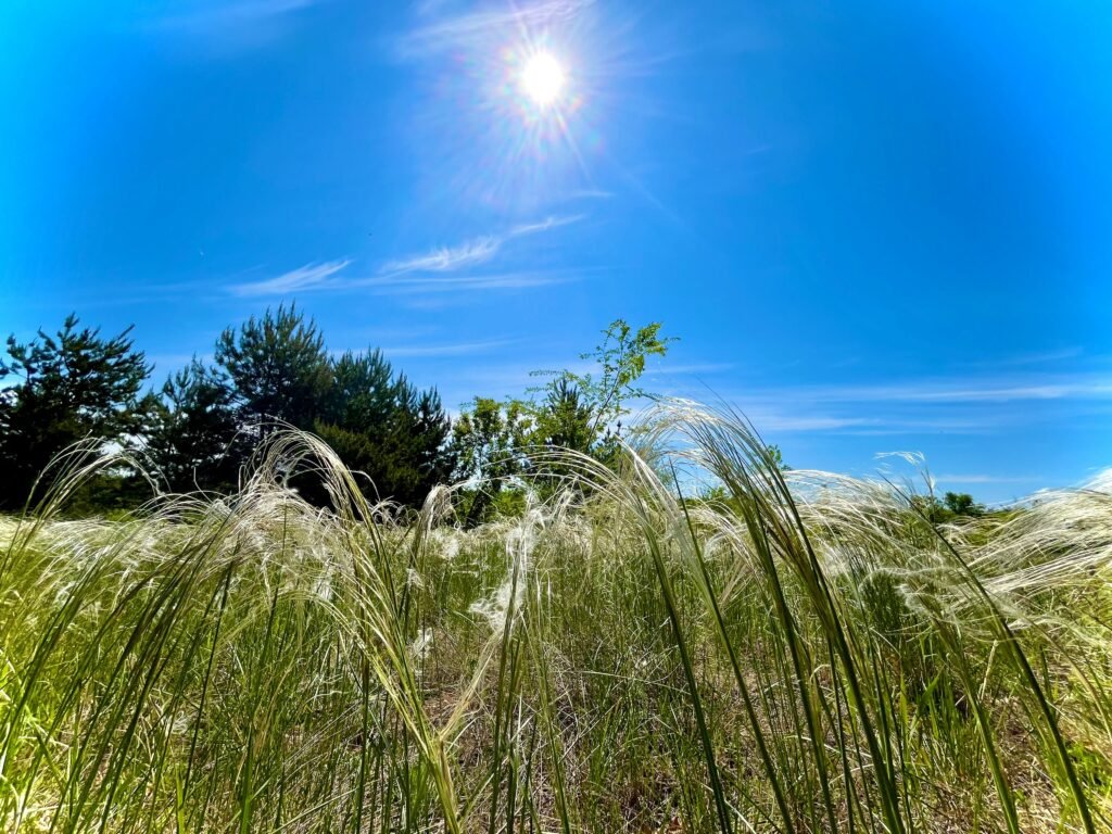 Summer's High Season Truth July and August