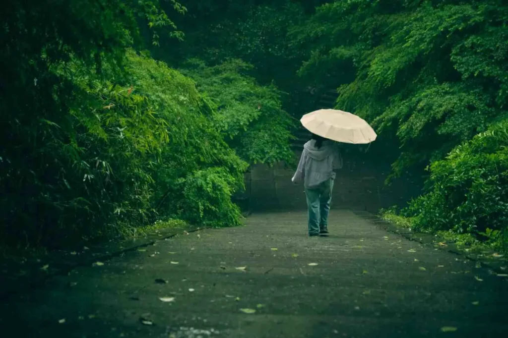That First Rainy Season Surprise