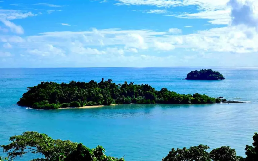 The Best Time To Visit Palau: Weather, Seasons & Travel Tips