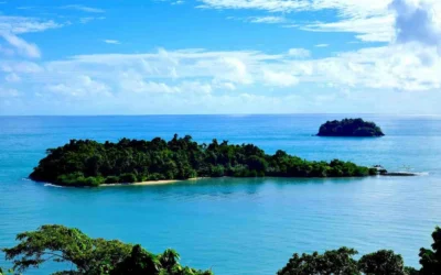 The Best Time To Visit Palau: Weather, Seasons & Travel Tips