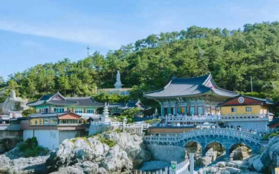 The Best Time to Visit Korea: A Seasonal Guide