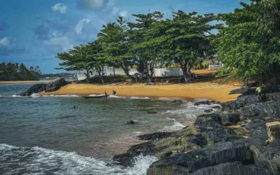 The Best Time to Visit Liberia: A Seasonal Guide