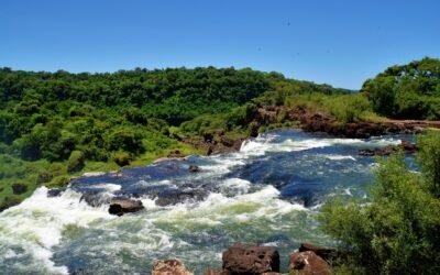 The Best Time to Visit Malawi: A Seasonal Guide