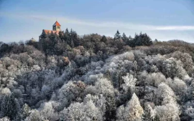 The Best Time to Visit Mecklenburg-Strelitz: A Seasonal Guide