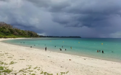 The Best Time to Visit Nauru: A Seasonal Guide