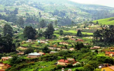 The Best Time to Visit Rwanda: A Complete Seasonal Guide