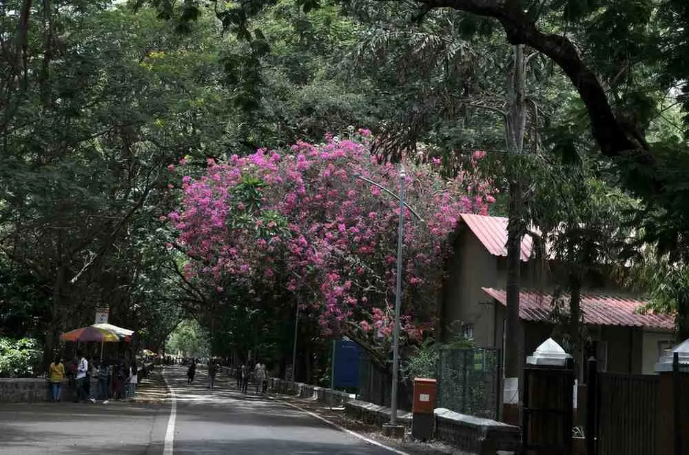 Understanding India's Seasons