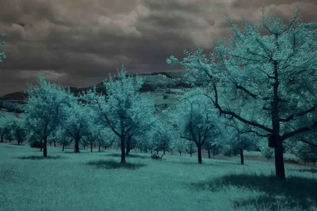 Why Oldenburg’s Seasons Surprise Everyone