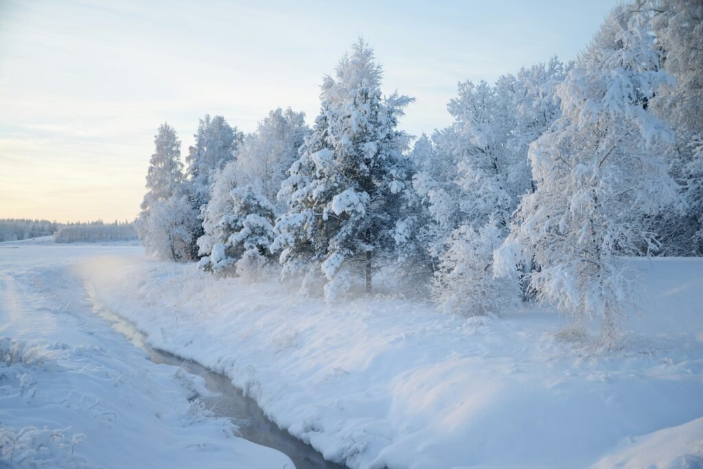 Winter (June - August) The Snow Kingdom