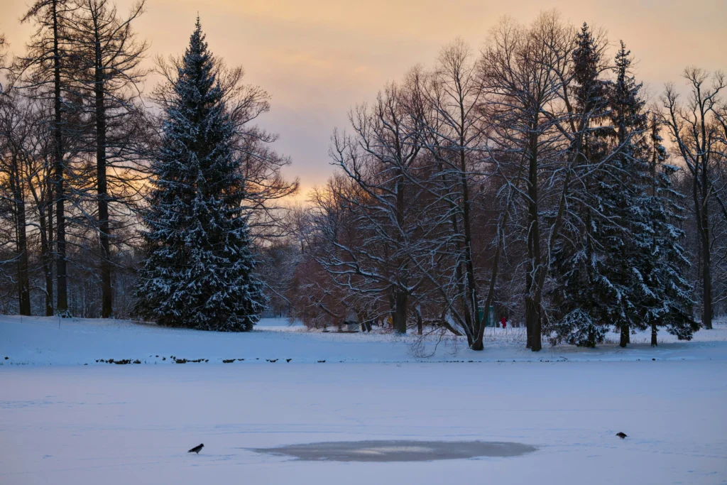 Winter's Quiet Magic (December-February)